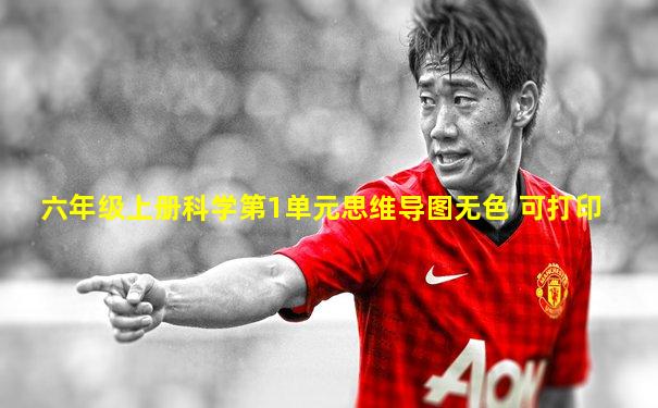 六年级上册科学第1单元思维导图无色 可打印